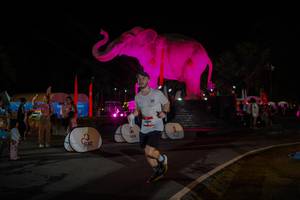 BIB: 
                            <button type="button" onclick="openModal(26552252)" class="btn btn-primary btn-sm float-right btn-popup" data-toggle="modal" data-target=".modal-high-quality">
                        <i class="fas fa-shopping-cart"></i> Add to Cart
                    </button>
                                            <button type="button" onclick="isThisMe(26552252, true)" class="btn btn-success btn-sm float-right btn-popup btn-isme hidden" data-toggle="tooltip" data-placement="bottom" title="นี่คือรูปของคุณใช่ไหม คลิกที่นี่เพื่อเอาเข้าอัลบั้ม">
                        <i class="fas fa-plus"></i> Add to album
                    </button>
                    <button type="button" onclick="isThisMe(26552252, false)" class="btn btn-warning btn-sm float-right btn-popup btn-isnotme hidden">
                        <i class="fas fa-ban"></i> Remove from album
                    </button>